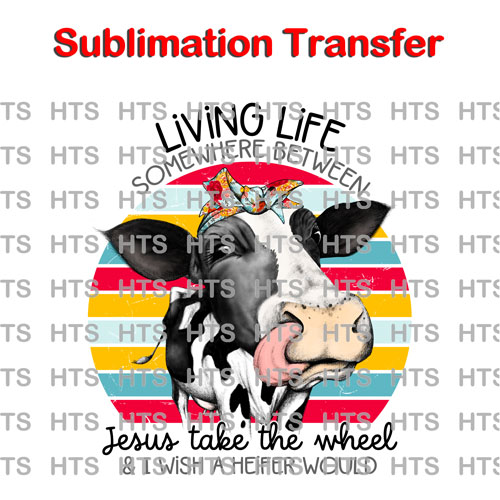 subli-047-livin-jesus-take-the-wheel-mock