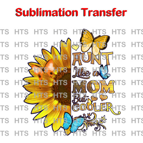 Subli-157-Aunt-like-a-MOM