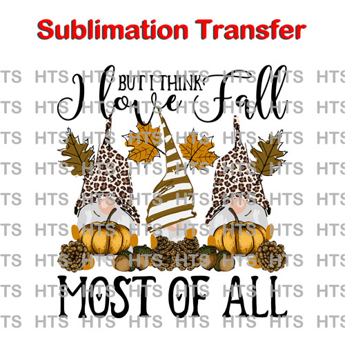 Subli-209-Fall-gnomes