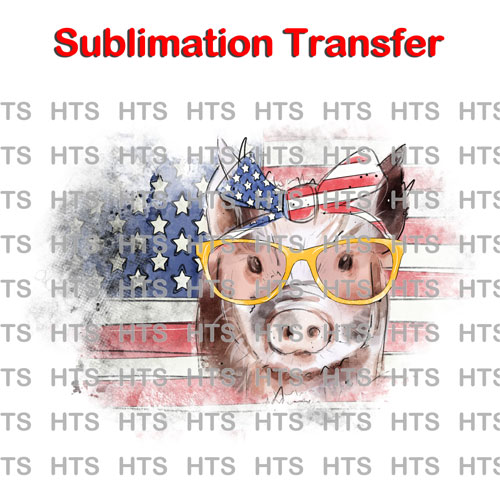 411-USA-Flag-with-Pig