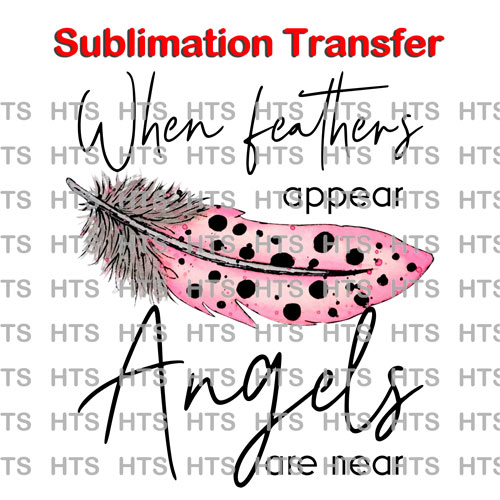 Subli-449-hen-feathers-appear-