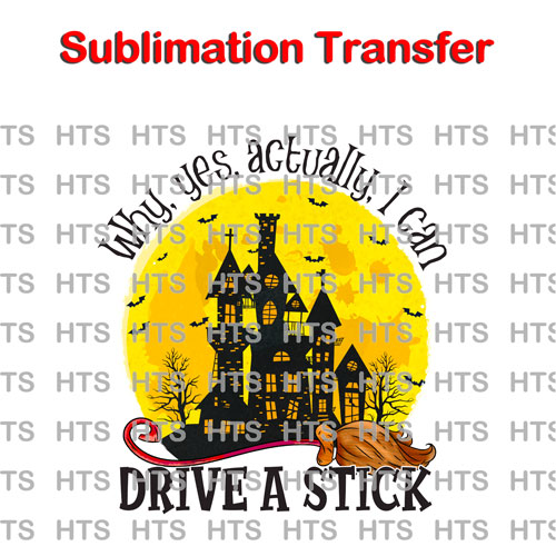 Subli-497-Why-Yes-Actually-I-Can-Drive-A-Stick