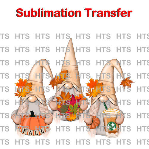 Subli-500-three-all-gnomes