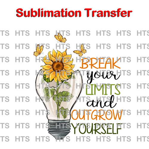 Subli-786-break-your-limits