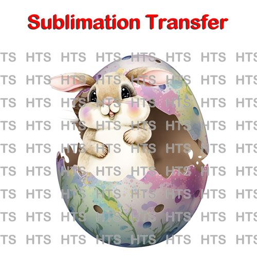 Subli-806-easter-cracked-egg-rabbit