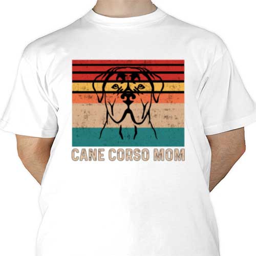 mockup-1687873466416