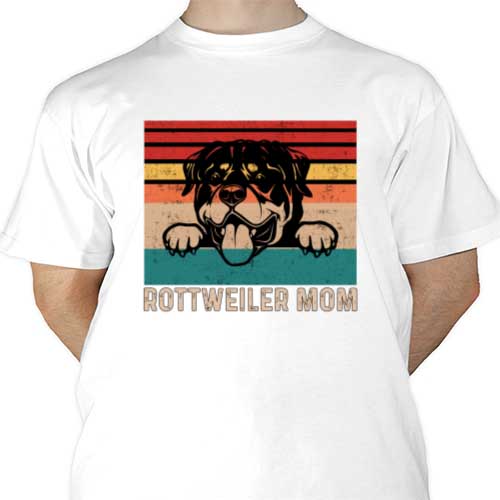 mockup-1687901329813