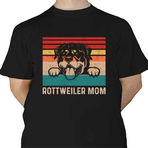 mockup-1687901380007