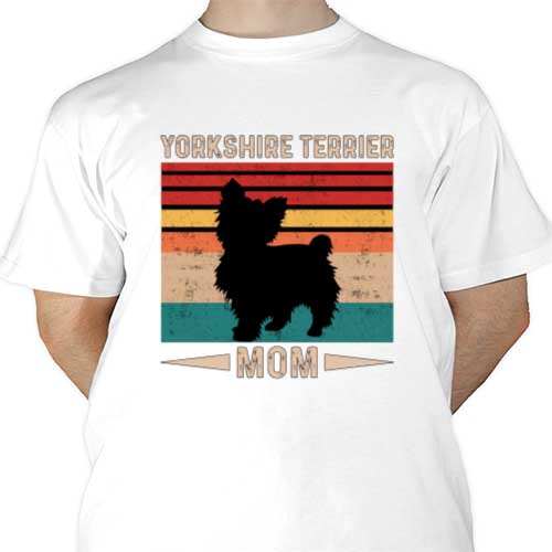 mockup-1687901704739