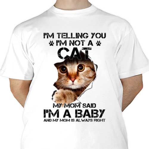 mockup-1688465467527