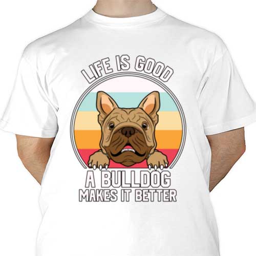 mockup-1689714263205