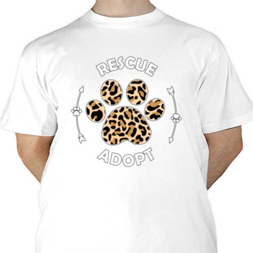 mockup-1691574987378