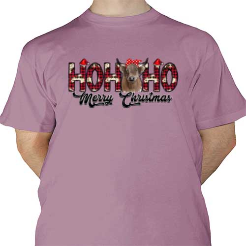 mockup-1696881176882