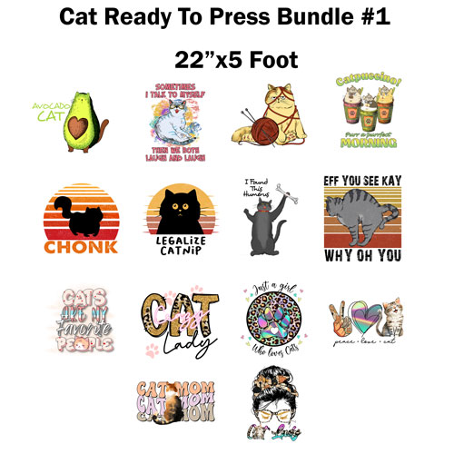 Cat-Bundle-1