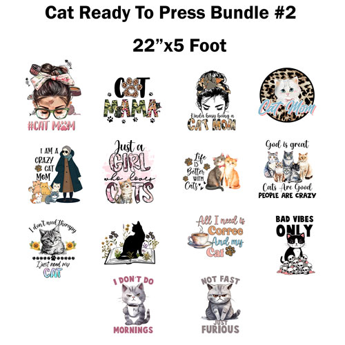 Cat-Bundle-2
