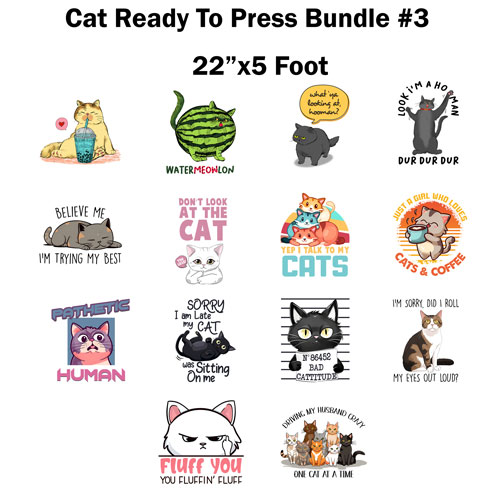 Cat-Bundle-3